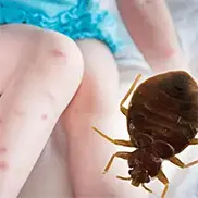 Mr. Exterminator photo 4